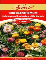 SENECIO Helichrysum Bracteatum Chrysanthemum Mix Variety Seed - 12 Per Packet