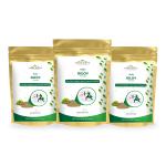Vedikroots Giloy Powder - 100% Pure Extract - Strengthens Immunity And Fights Illnesses 100Gm (Pack of 3)