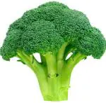 MOZETTE Broccoli Seed (53 per packet)