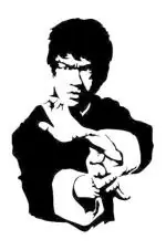 Divinedesigns Multicolor Vinyl Bruce Lee Wall Sticker