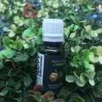 Happy Surroundings Cypress Essential Oil (15 ml)