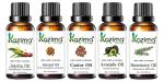 KAZIMA Combo Of Jojoba Oil, Almond Oil, Castor Oil, Avocado Oil And Rosemary Oil 15 ml Each (Combo Of 5)