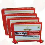 Shiwalya Natural Handmade Strawberry Soap Nice Cool Soap For Healthy & Whitening Skin - Pack of 4 | Each 75 G |