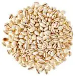 Kanak Barley Seeds 1Kg, Pearl Barley, Barley Jau