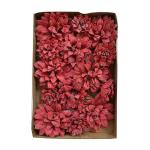 Little Birdie Celestina Love And Roses Handmade Flowers (Pack Of 20)