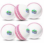 Jaspo T-20 Plus Practice Cricket Ball/Wind Balls (125-130 GMS) for - Indoor & Outdoor Sports (WHITE)