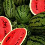 Tamransh Beejaropan Watermelon Aalam Daksh 55 Seed, 10 Seeds