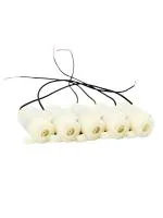 Robotbanao Submersible Mini Water Pump Pack of 5