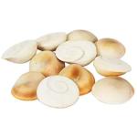 Shiv gems stone company Natural Gomati/Gomti Chakra Original for Puja (White) - 11 Pieces