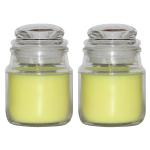 Shraddha Creation Paraffin Wax Hanky Jar Decorative Smokeless Designer Glass Candle (Pack Of 2)