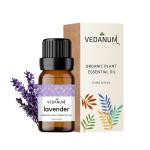 VEDANUM Lavender Scented Essential Oil for Aromatherapy and Oil Diffuser 15 ml