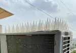 PIGEONO Bird Spikes for Pigeon Control - Cover 6 Running Feet