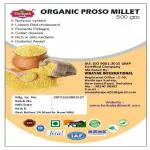 VINAYAK HERBAL_ORGANIC PROSO MILLET, common millet, hog millet, french white 500 GM Seed (1 per packet)