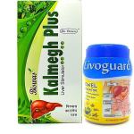 Herbshd Dr. Biswas Kalmegh Plus Syrup 450ml & Livoguard Powder 100gm For Liver Care(combo pack 2)
