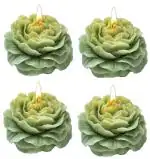 CANDLE_CABINETS Floral candles , Blossom-shaped candles, Petal candles, Flower-inspired candles, Botanical candles, Bloom candles, Floral motif candles, Blossom candles, Garden-themed candles, Flower petal candles, Floral decor candles 4 PCS