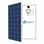Bluebird Solar 165 Watt 12 Volt Polycrystalline Solar Panel