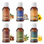 PEARLIX Argan, Sunflower, Coconut, Jojoba, Olive and Vitamin E oil (Pack Of 6) 100% Pure for Moisturizing Face, Hair, Skin & | Natural Cold Pressed (Best for Mixing with Essential Oils) 30ML