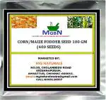 MGBN THE PATH FOR THE HEALTHIER LIFE WITH BEAUTY Corn, Maize Fodder Seed - 100 g (400 Seeds)