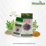 Himalaya Pharmacy Ghutno Ke Dard Grease Ki Fakki, 100 G (Pack Of 4)