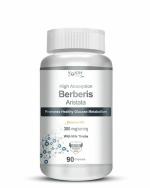 Vokin Biotech Berberis Berberine 95% with Milk Thistle Promotes Healthy Metabolism - 90 Capsules