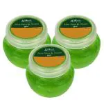 GLOBUS NATURALS Aloe Vera And Neem Gel Pack Of 3 (300 Ml)