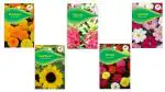 BS (Bombay Seeds) All Seasons Flowers Combo || Marigold African Mix, Sunflower KGP, Balsam Mixed KGP, Zinnia Mix KGP, Cosmos Mixed KGP || Seeds Combo Pack