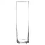 Essjay Botanic Flower Vase Big Size /Flower Pot / Glass Vase for Home Decoration, Size 10.5 inch, Transparent, Cylindrical Shape, Capacity 2.0 L, Set of 1, Made in India