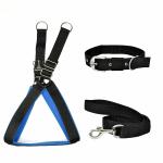 Petlia Padded Nylon Dog Body Belt Dog Belt & Dog Leash Medium (Neck Size - 16-25 inch) (Chest Size - 18-28 inch) Combo Harness Collar Leash pack 3 Black