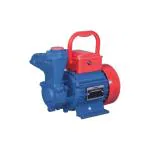 Crompton 1 Hp Residential Water Pump Self Priming Regenerative
