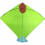 MDKites Square Cheel Kite (10, Multicolor)
