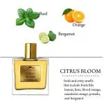 Menjewell CITRUS BLOOM Perfume For Men | Gift For Men Eau de Parfum - 100 ml (For Men)
