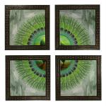 Indianara 4 Piece Set Of Framed Wall Hanging Peacock Feather Art Prints (2064) 9.5 Inch X 9.5 Inch Without Glass
