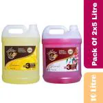 Soulfresh Disinfectant Surface / floor cleaner liquid Citrus, Lavender 5L (Pack of 2)
