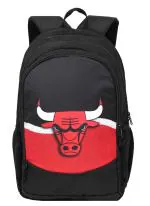 AUXTER DELUXE RED BULL Black Polyester Casual School College casual Backpack with laptop compartment 35 L