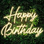 DOJI Happy Birthday Neon Sign for Backdrop with Dimmable Switch Birthday Light Up Sign Party Decoration(Warm White) (Backdrop with Dimmable Switch)