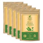 Khadi Ark 100 % Pure Natural Henna Powder for All types of Hair & skin (500 g)