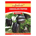 SENECIO Black Chocolate Pepper Seed - 20 Per Packet