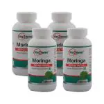 Way2Herbal Moringa 120 Tablets (Pack of 4)
