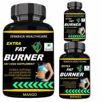 Zemaica Healthcare Extra Fat Burner, Body Fat Burn, Whey Supplement, Flavor Mango, Pack of 3