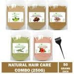 Shudh Online Amla Reetha Shikakai, Bhringraj and Hibiscus Combo Powder (50g each - 250g) for Hair Growth (Bringraj Reetha Aamla Shaikai Hisbus Power)
