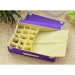 QUAIL Non Woven Drawer Wardrobe Lingerie Storage Box Organizer Undergarments Organizer With Lid Foldable Storage Box Organiser - Blue