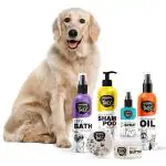 Wagging Tails Pets Grooming Kit Combo for Golden Retriever | Dog Shampoo+Massage Oil+Dry Bath+Paw Butter+Paw Spray | Made with Natural Ingredients | Head to Paw Gift Box- 5 in 1