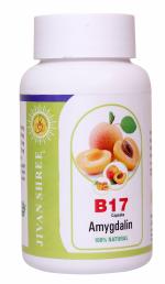 Jivan Shree Vitamin B17 500 Mg Purest Amygdalin 99.5 Percent Apricot Kernel Extract 100 Percent Organic Natural Antioxidant Immune Booster 100 Capsules