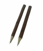 RICH ART AND CRAFT - Wood, Brass, Plastic Handmade Handicraft Eco Friendly Return Tree Branch Neem Pen (Set Of 2)