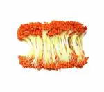 The Lovely Creations Artificial Orange Stamens Pearl Pollens (pack of 500)