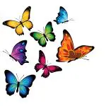 Aquire New Modern Art & Trendy Wall Stickers for Home Decoration, Living Room, Bedroom Size -Large