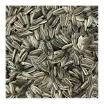 VM Mart Striped Sunflower Seed for Love Birds, Cocktail, Sun Conure All Birds Food 1.1Kg