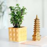 FlowerAura Decorative Air Purifying Jade Live Indoor Plant In Ceramic Vase Pot With Showpiece For Living Room, Balcony, Office/Home Decoration And Gifts For Friends, Colleagues, Relatives & Neighbours.