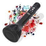 Pick Ur Needs Karaoke Wireless Mic For Kids/Singing With Recording/USB/FM Bluetooth Speaker