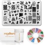 Royalkart Nail Stamping Plate With Nail Silicone Stamper Nail Accessories For Nail art